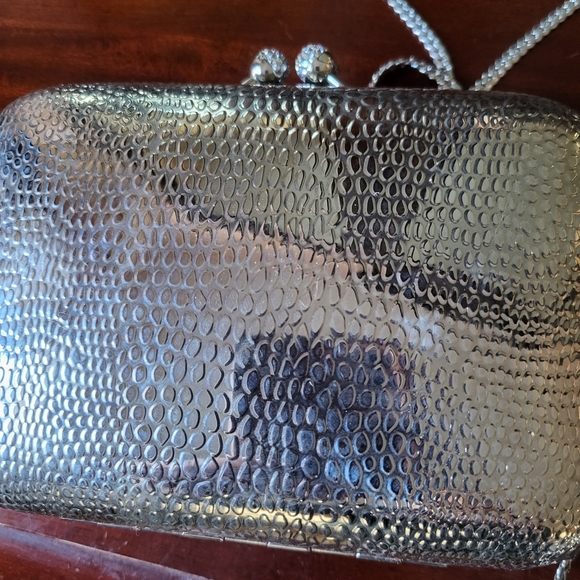 Scheilan Firenze Metallic Purse - Picture 3 of 6